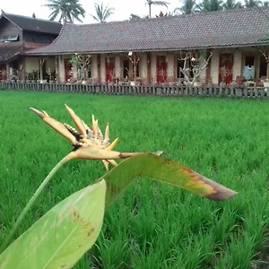 Rice Padi Artha Gasthof